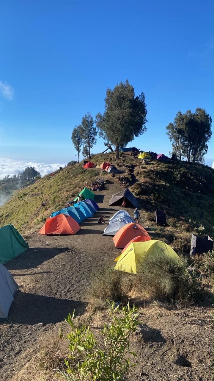Camp Setup