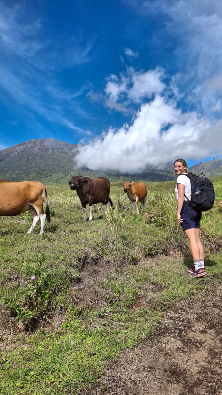 Official Rinjani Regulations 2026