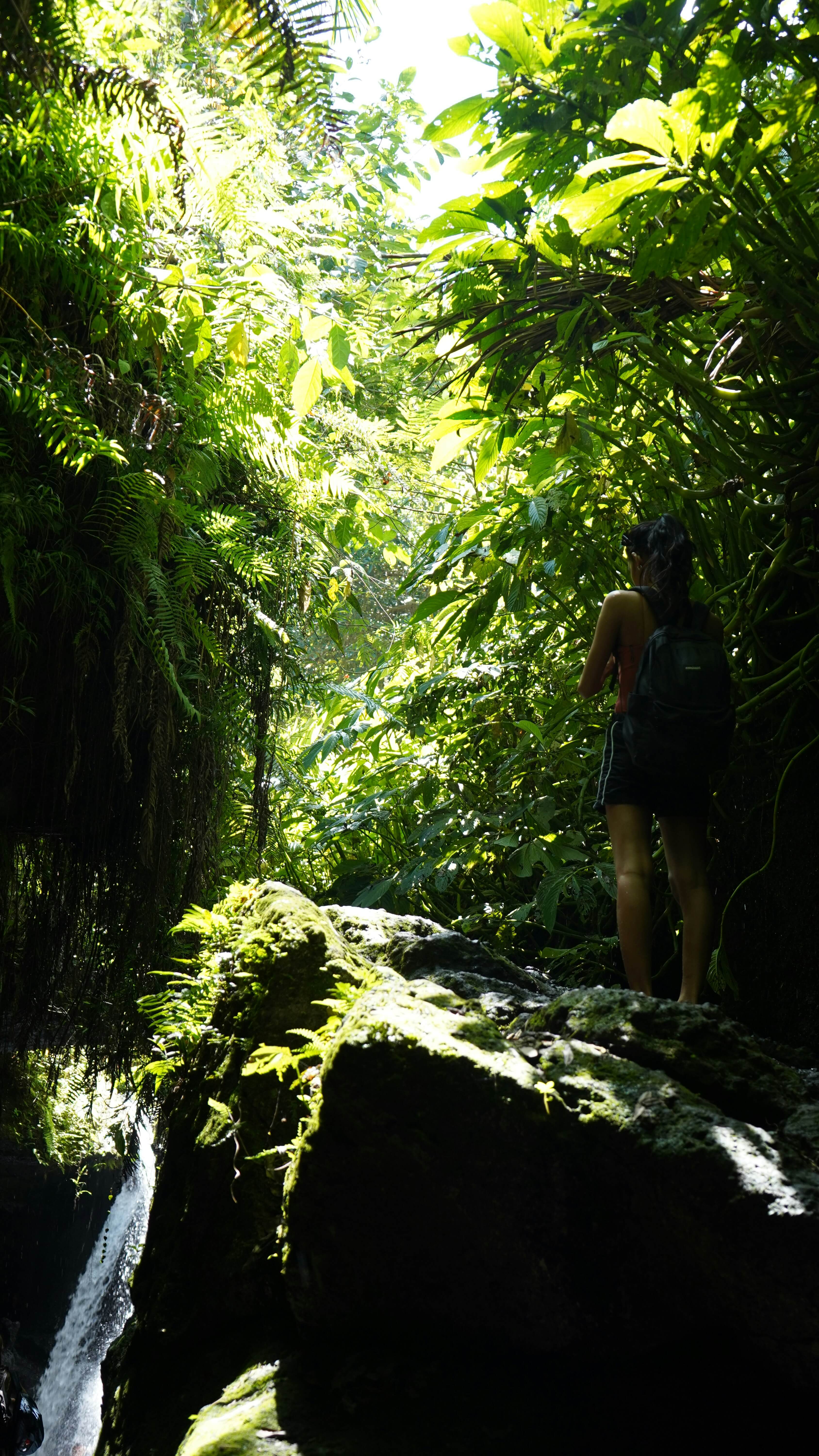 Tetebatu Hidden Waterfall