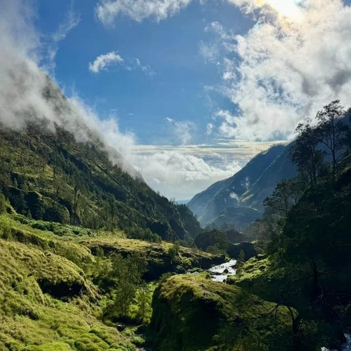 Torean Canyon Trek